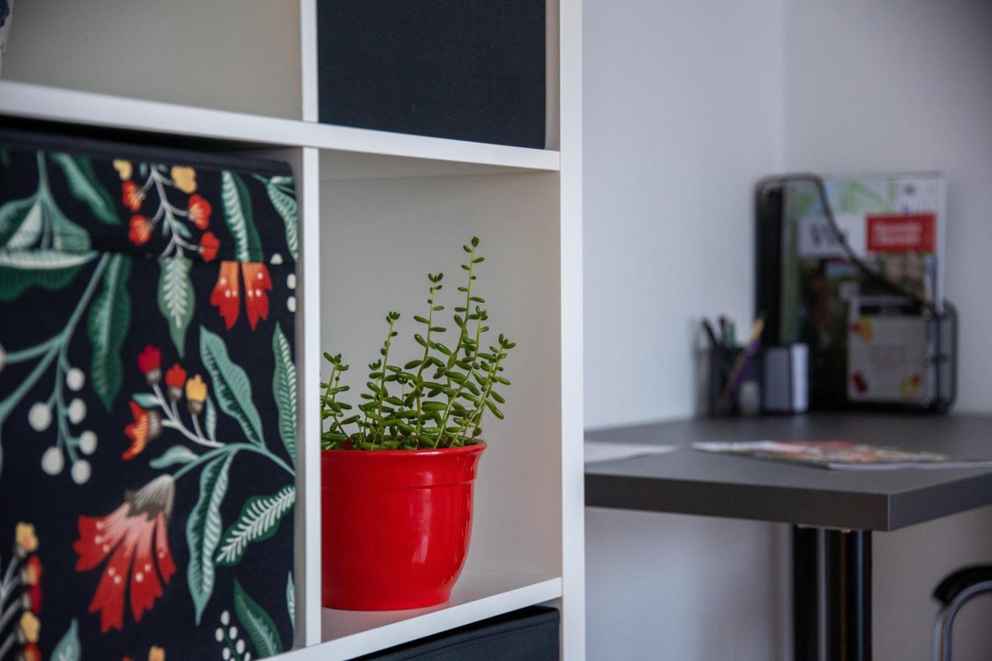 Wald Apartment